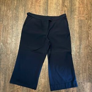 New York & Company Navy Capris